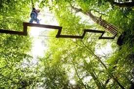 Tree tops Go Ape Margam Park at Lothlorien self catering accommodation in Wales