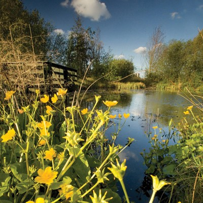 National Wetlands Llanelli and Lothlorien holiday cottage in Wales